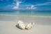 Feridhoo, Maldives